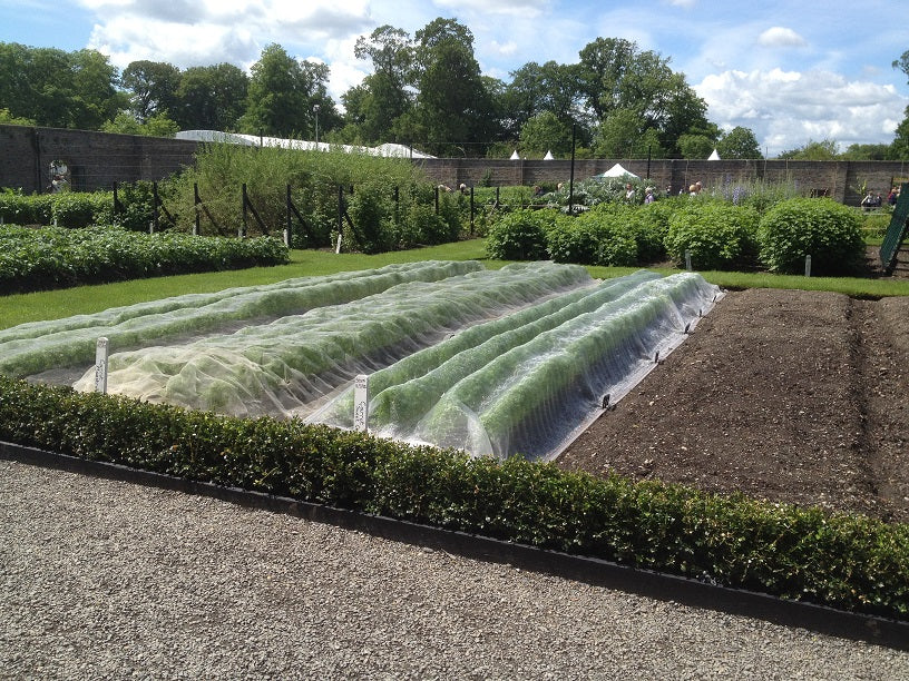 Protect Your Crops Naturally with Reusable Insect Mesh