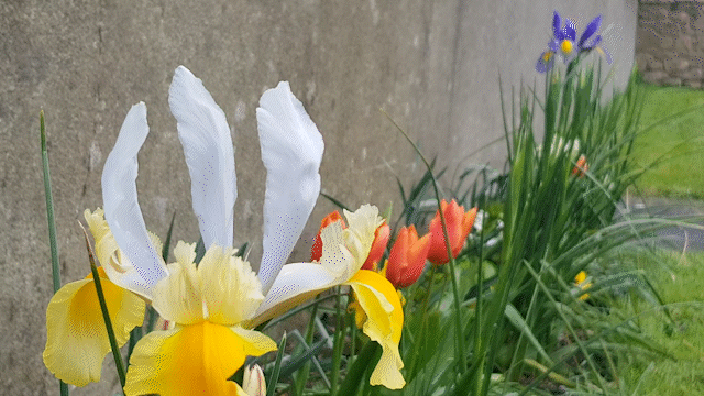 April - Winds of Change