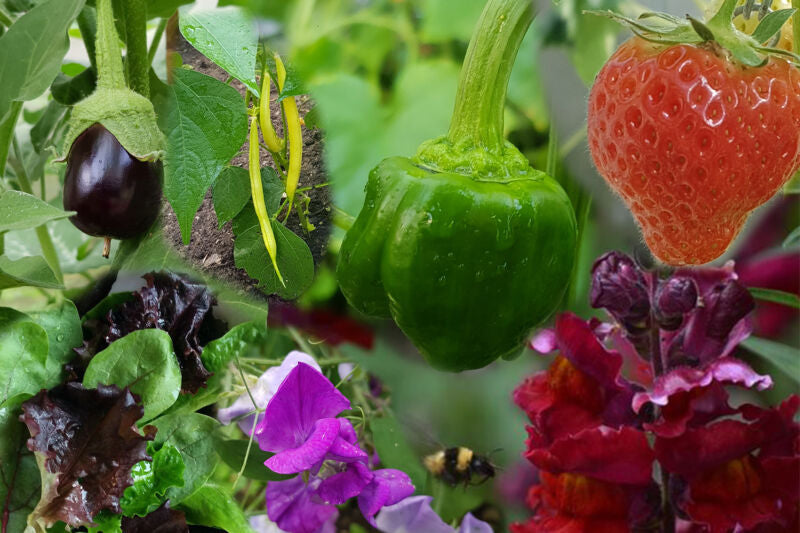 January - A Time to Plan