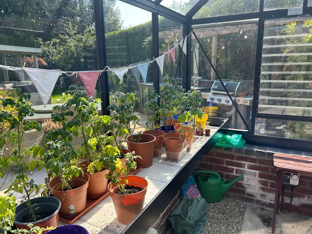 Shelving Plant Support Accessories Pyramid