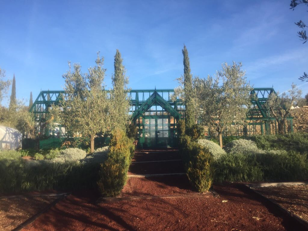Coriander Greenhouse
