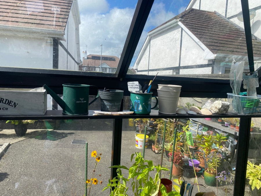 12cm Shelf