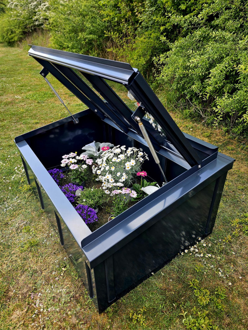 Griffin Low Level Cold Frame